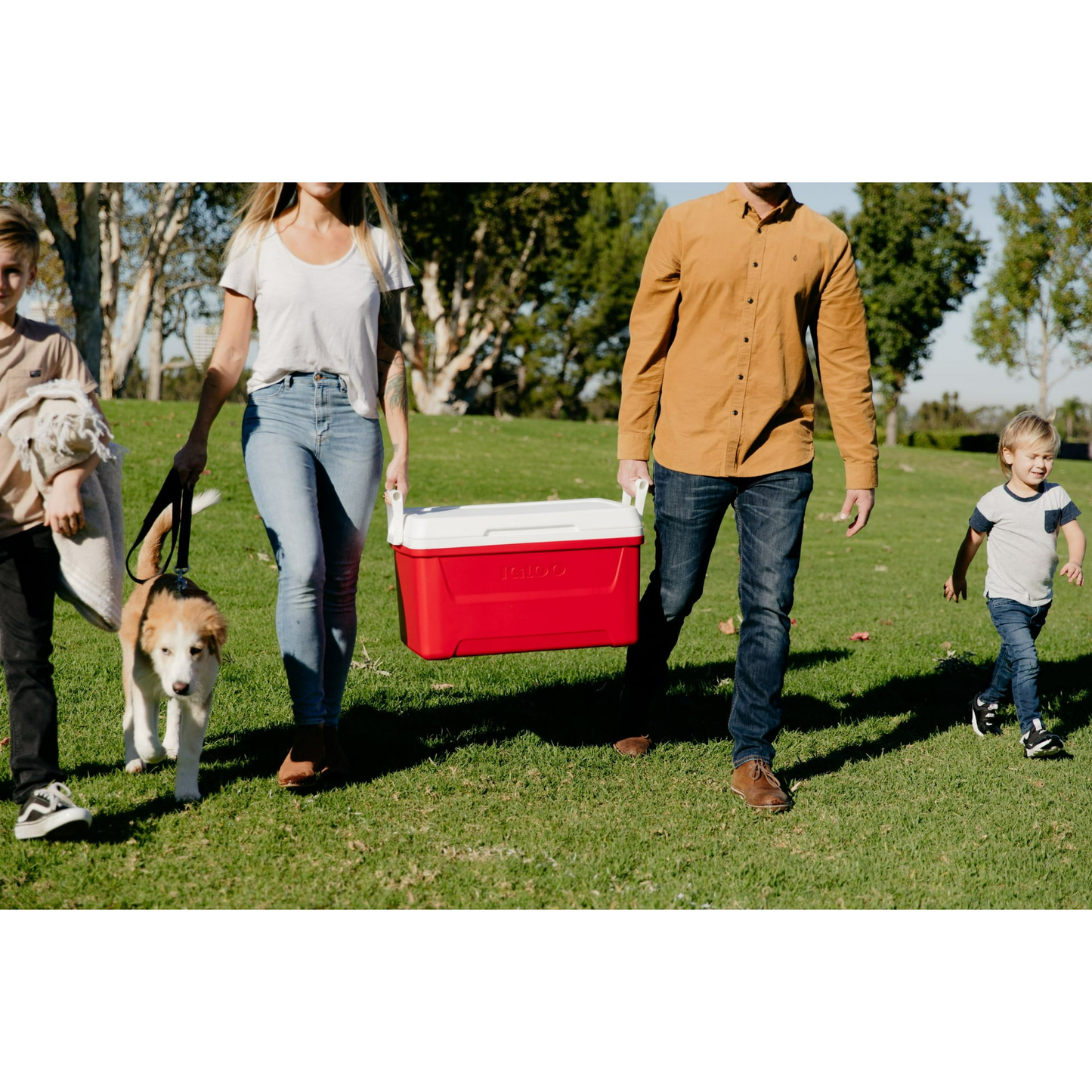 Igloo 48 QT Laguna Hard-Sided Ice Chest Cooler with Multi-Color Variation for Durable Outdoor Use and Easy Identification