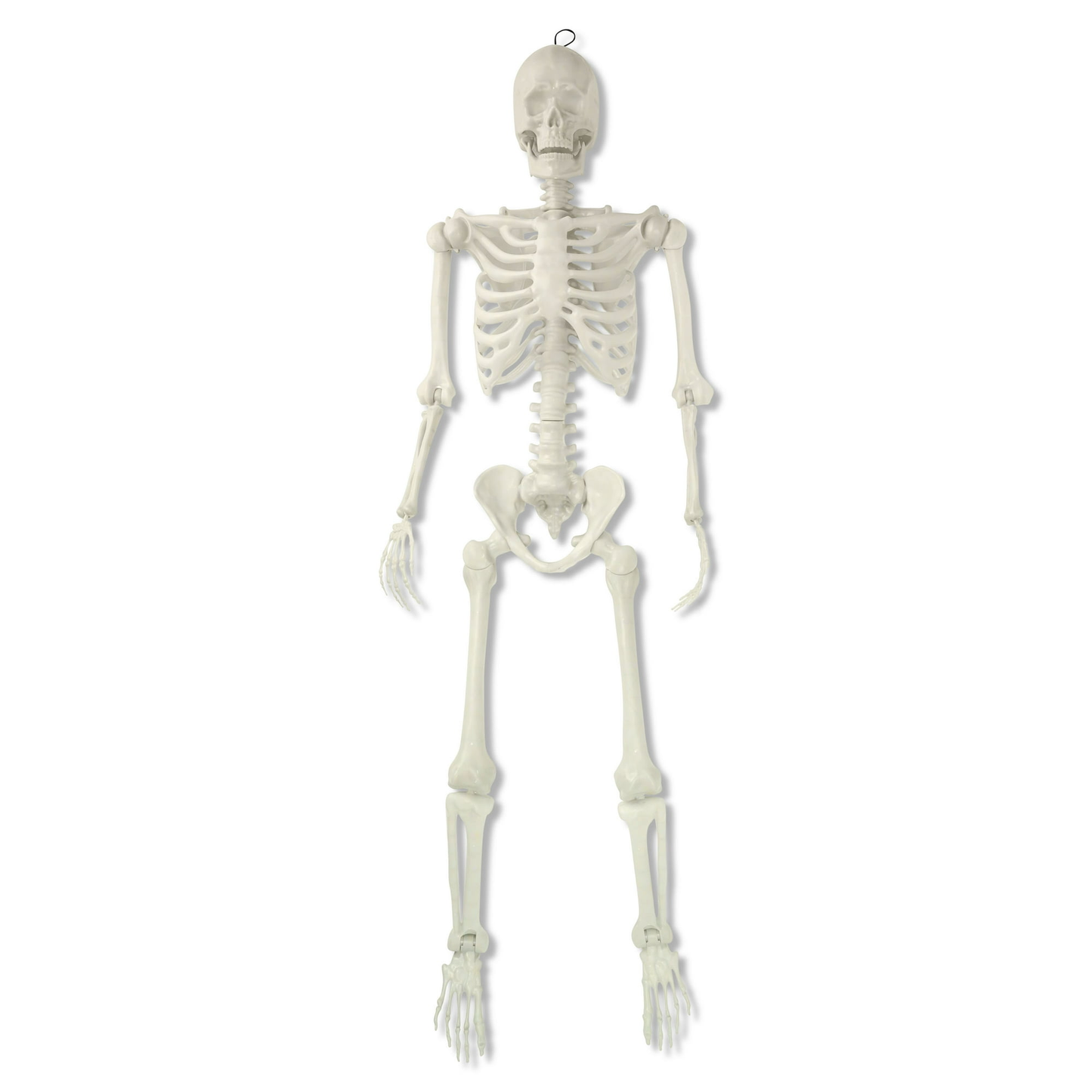5ft Poseable Skeleton Decoration, Halloween Outdoor Decor, by Way To Celebrate