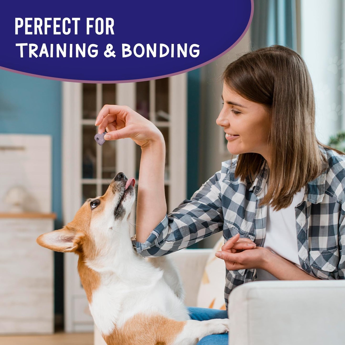 Much Loved Dog Training Treats - Blueberry Antioxidant 6 oz.
