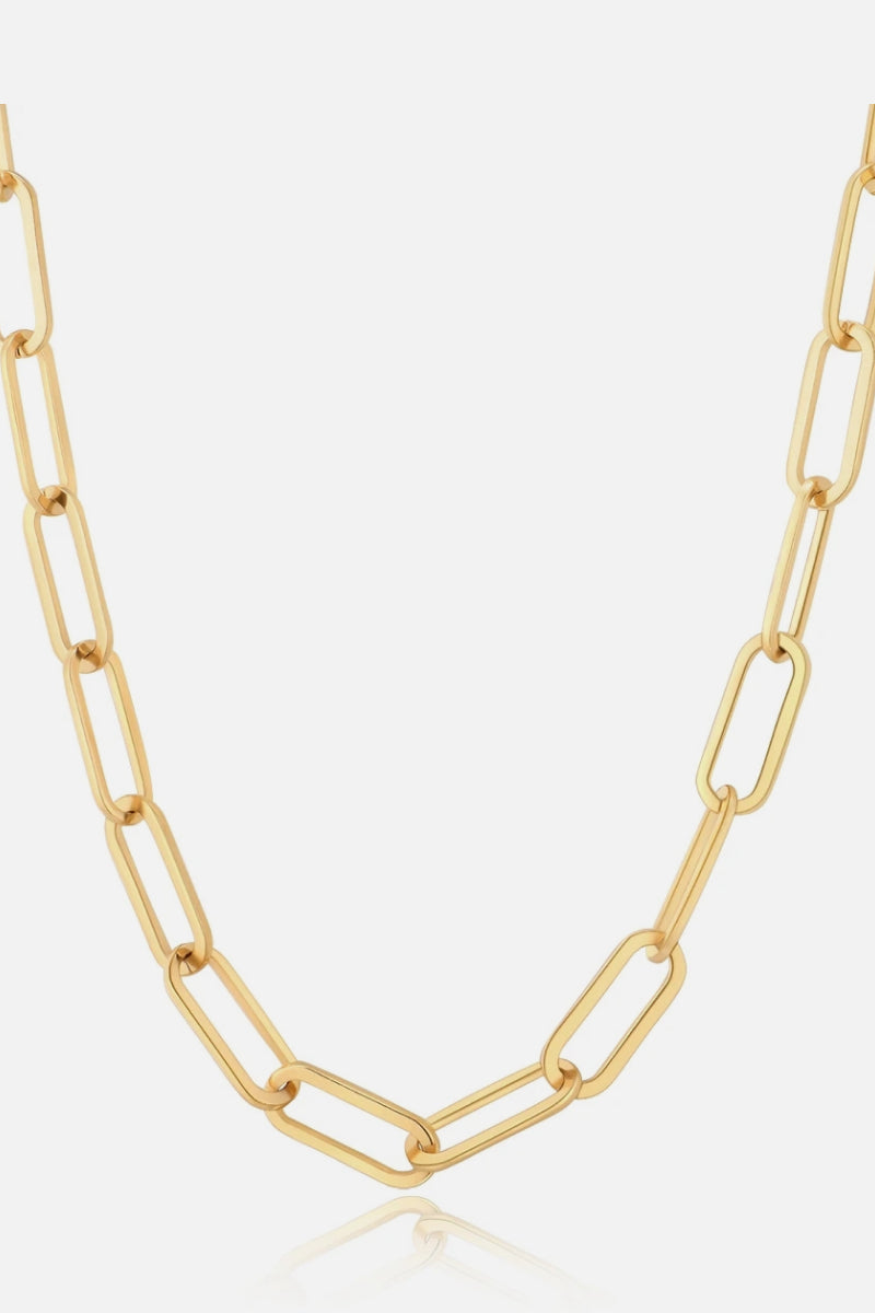 Thick Clip Chain Necklace