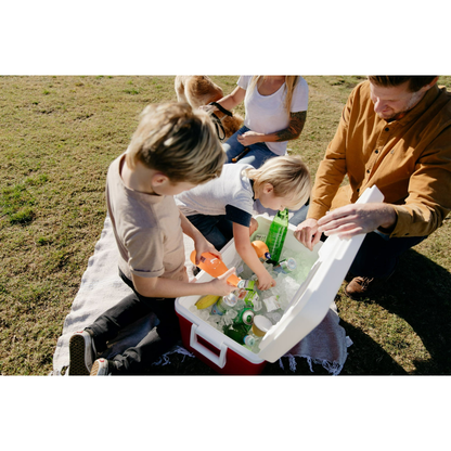 Igloo 48 QT Laguna Hard-Sided Ice Chest Cooler with Multi-Color Variation for Durable Outdoor Use and Easy Identification