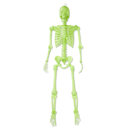 5ft  Poseable Skeleton Decoration, Halloween Outdoor Decor, by Way To Celebrate