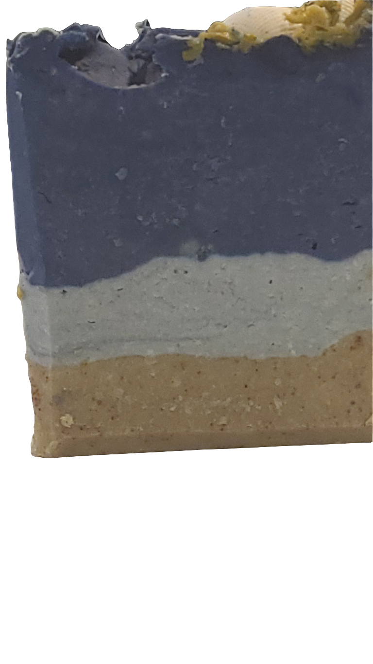 Beach Please Soap Bar 4oz