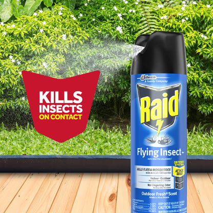 Raid Flying Insect Killer, Kills Flies, Mosquitoes, Gnats, and Fruit Flies, For Indoor and Outdoor Use, 18 oz