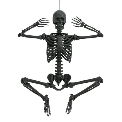 5ft  Poseable Skeleton Decoration, Halloween Outdoor Decor, by Way To Celebrate