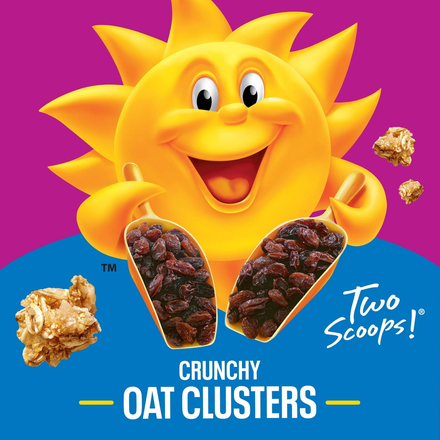 Kellogg's Raisin Bran Crunch Crunch Breakfast Cereal, Good Source of Fiber, Family Size, 20.7 oz