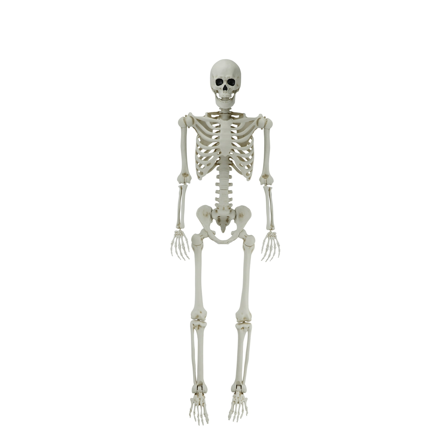 5ft  Poseable Skeleton Decoration, Halloween Outdoor Decor, by Way To Celebrate